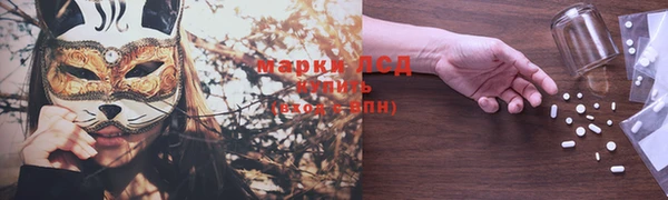 a pvp Архангельск