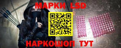 прущие грибы Кандалакша