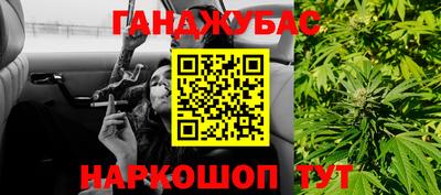 прущие грибы Кандалакша