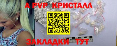 прущие грибы Кандалакша