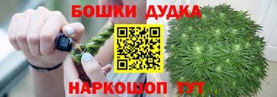 прущие грибы Кандалакша