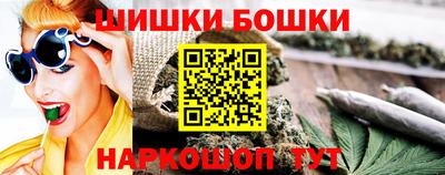прущие грибы Кандалакша