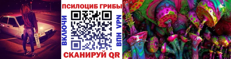 Галлюциногенные грибы Magic Shrooms Мытищи
