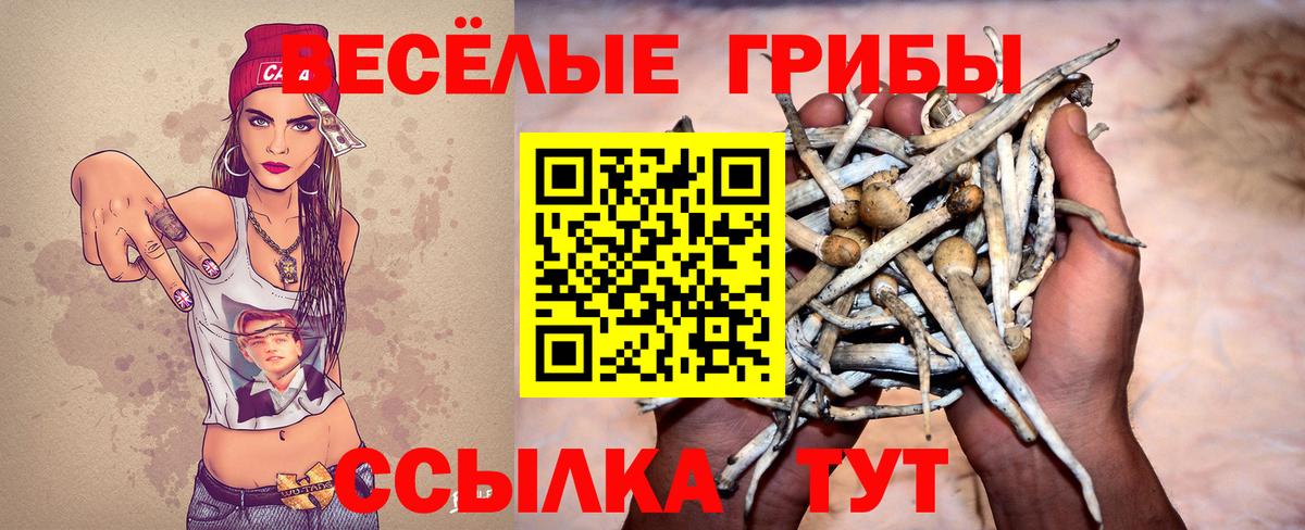 Псилоцибиновые грибы GOLDEN TEACHER  Вход с VPN  Мытищи 